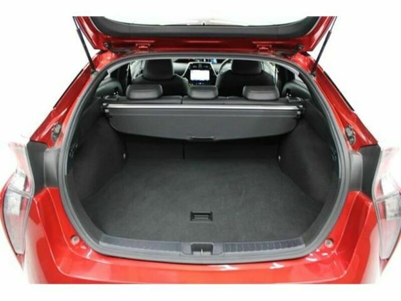 PRIUS-16