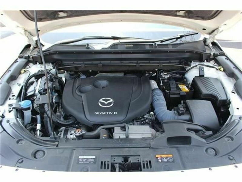 CX-8