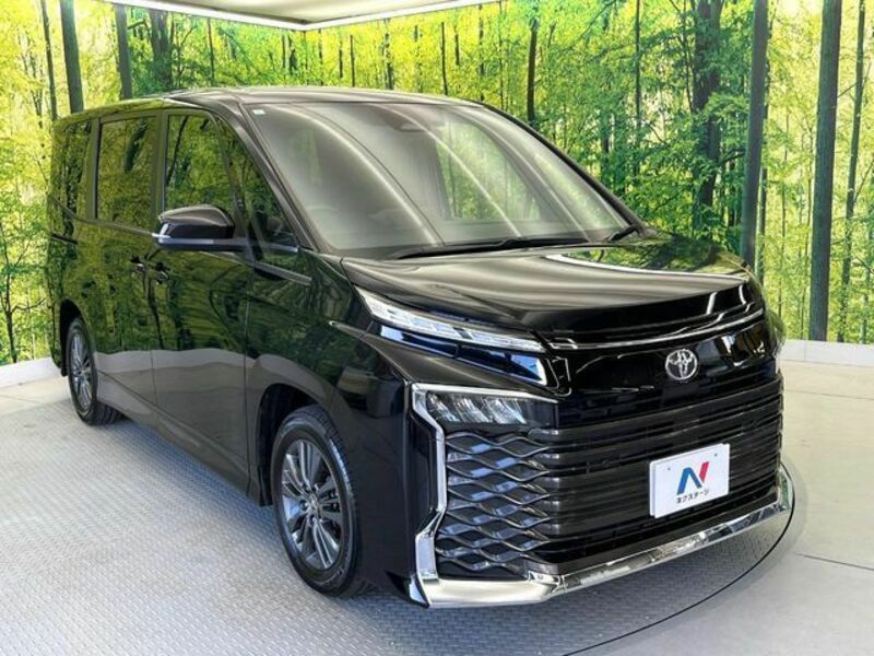 VOXY-17