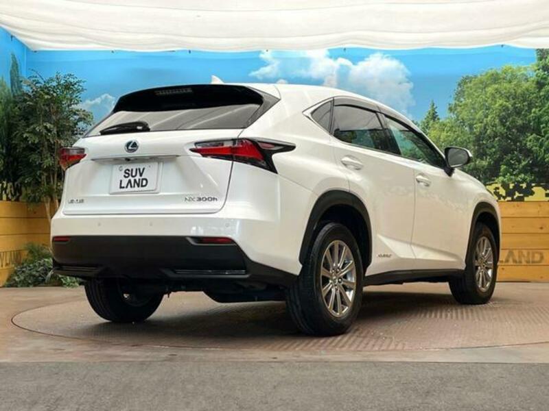 NX