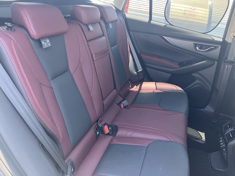 LEVORG-13