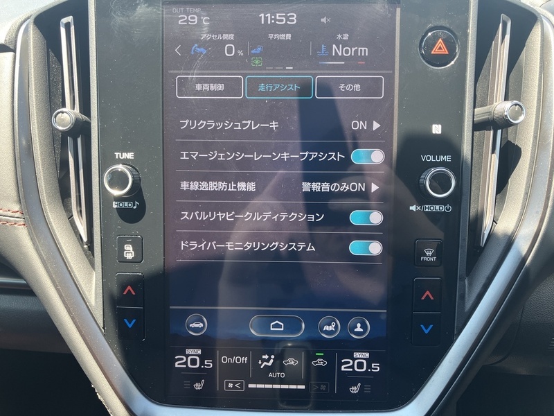LEVORG-18
