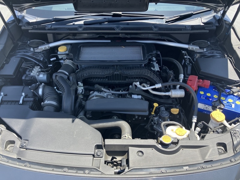 LEVORG-21