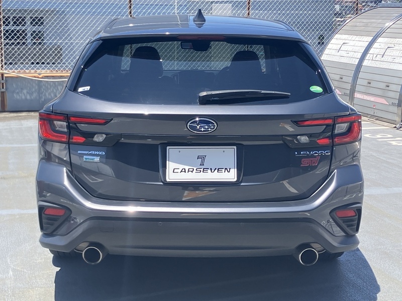 LEVORG-3
