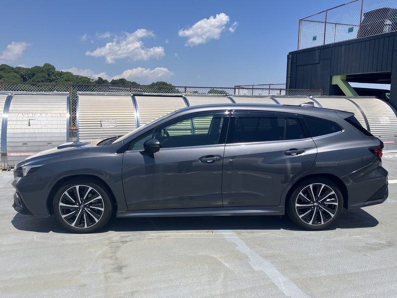 LEVORG-4