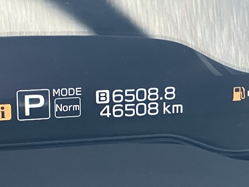 LEVORG-6