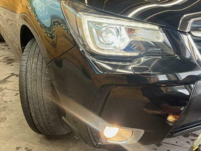 FORESTER-12