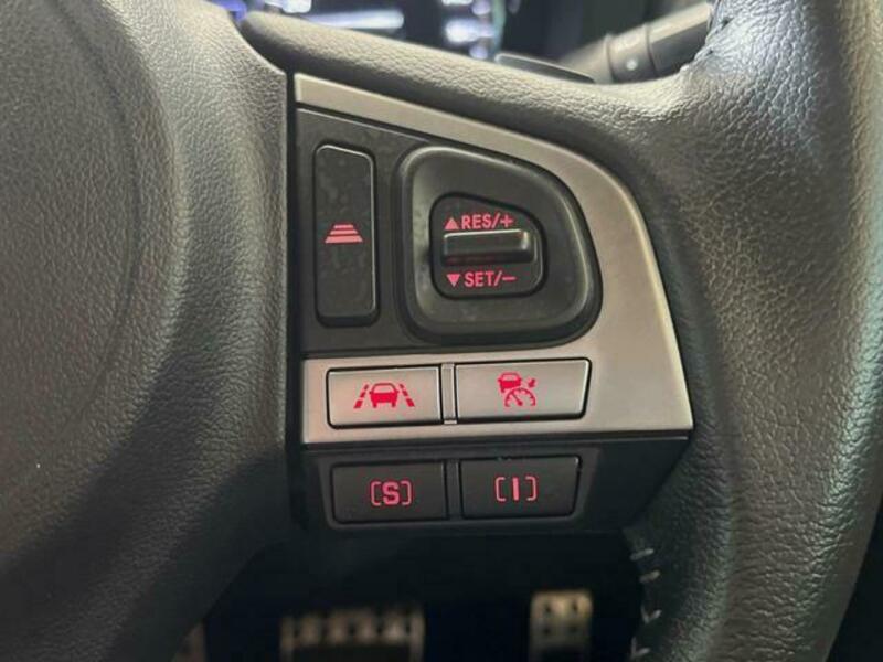 FORESTER-13