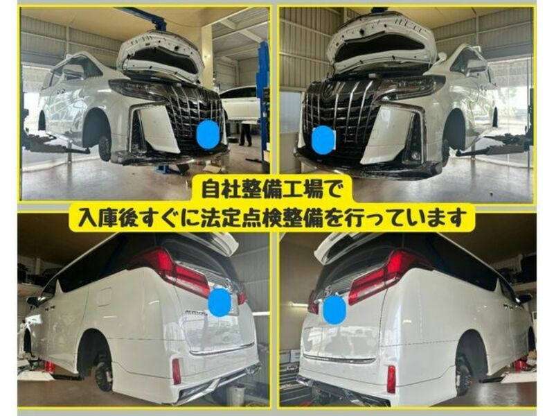 ALPHARD-4