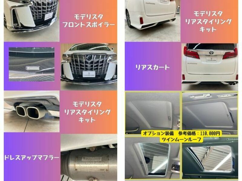 ALPHARD-11