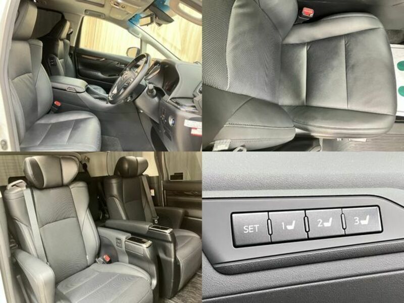 ALPHARD-18
