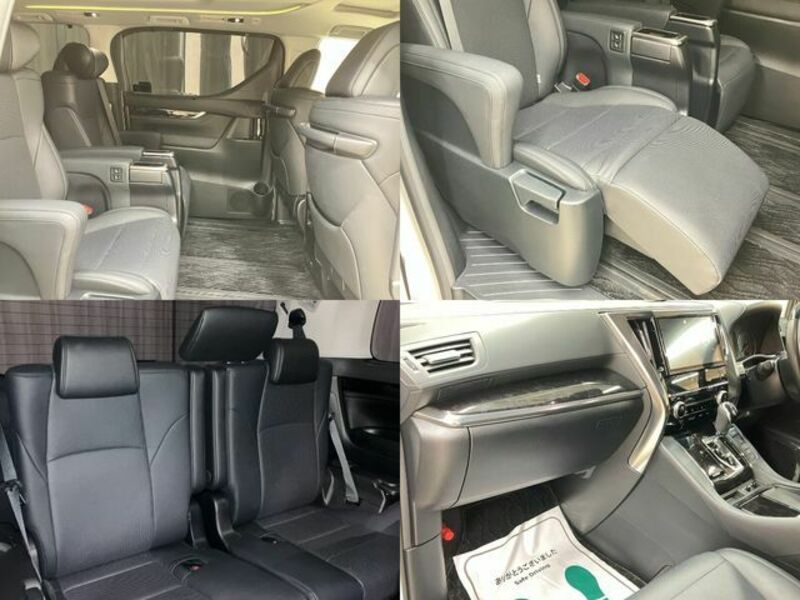 ALPHARD-19