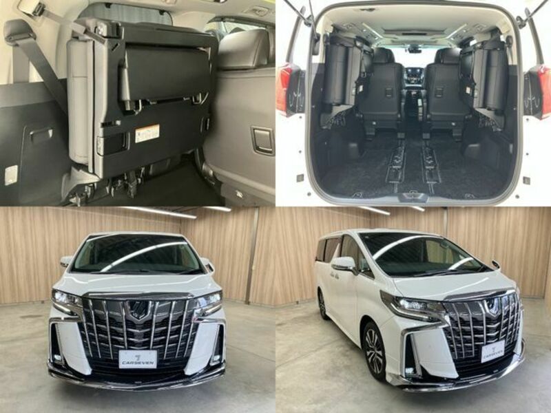 ALPHARD-22