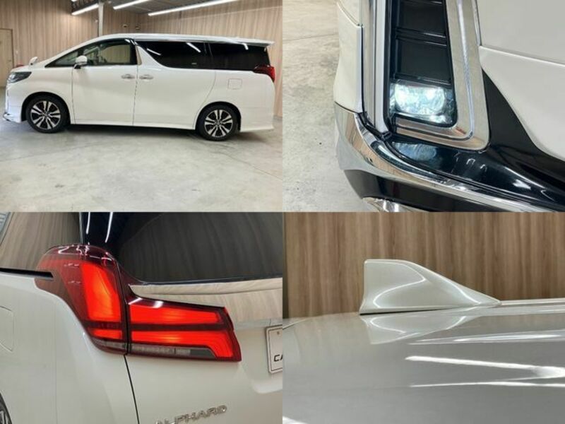 ALPHARD-24