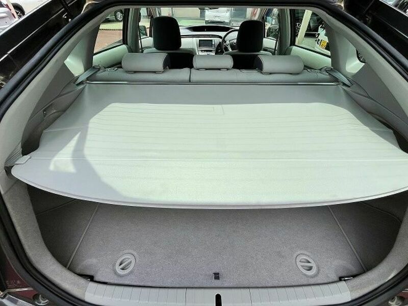 PRIUS-21