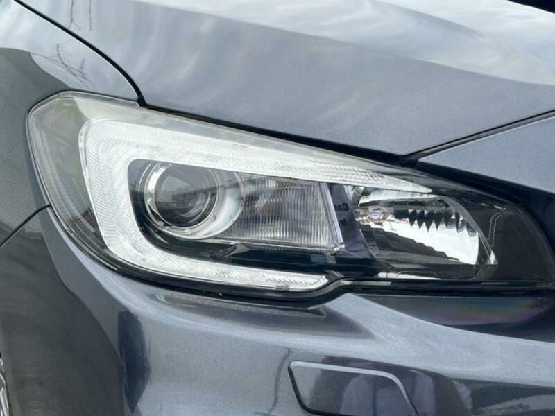 LEVORG-17