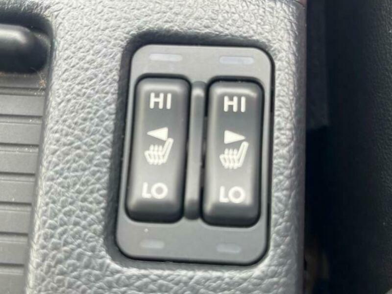 LEVORG-10