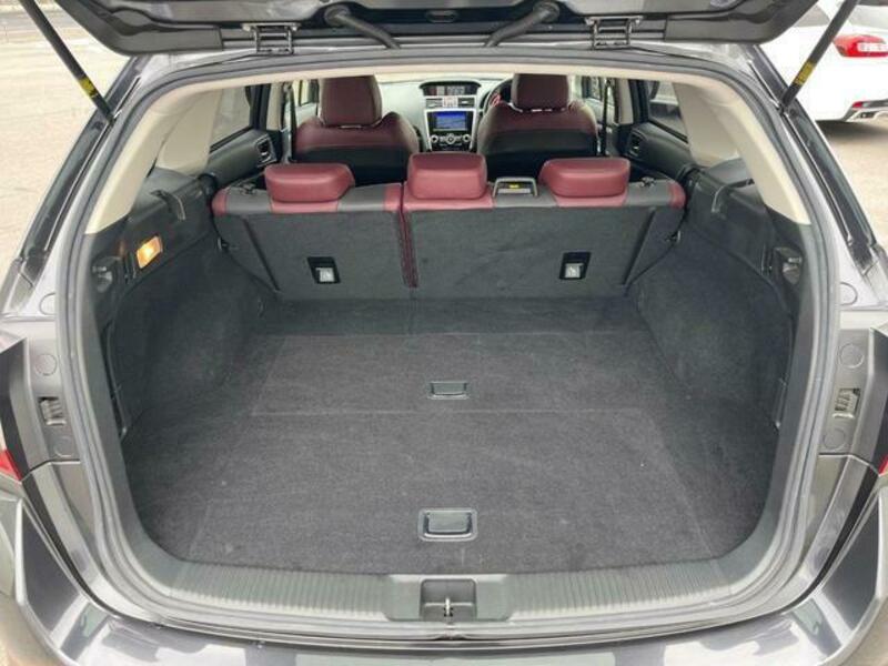 LEVORG-14