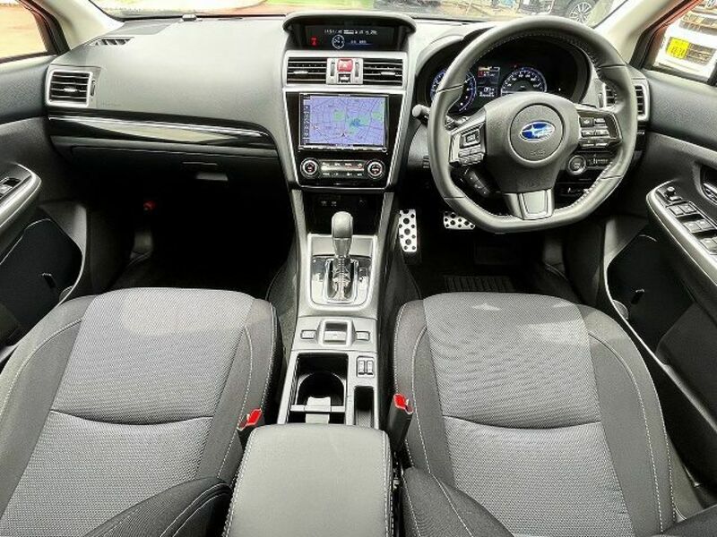 LEVORG-1