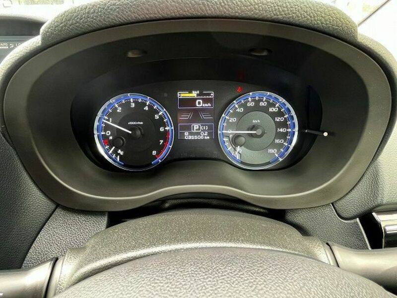 LEVORG-7