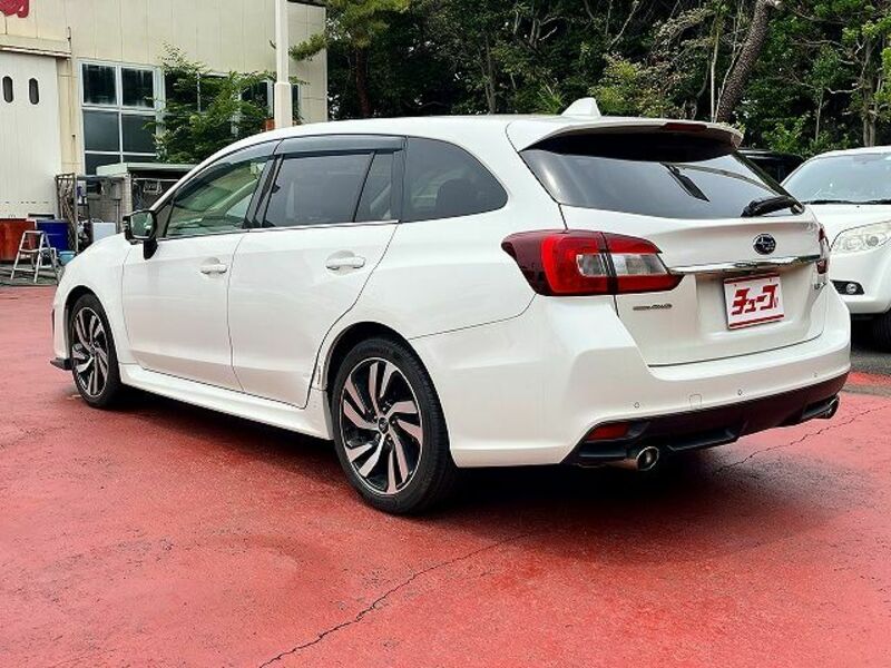 LEVORG-8