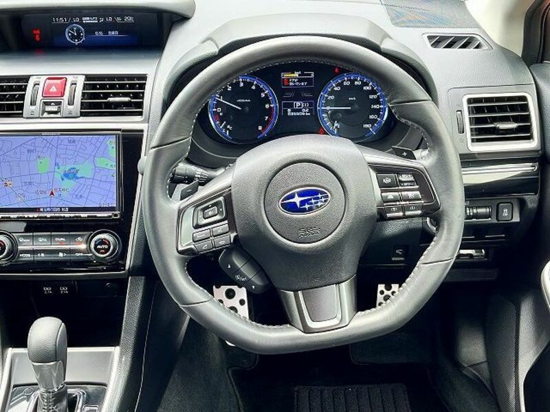 LEVORG-13
