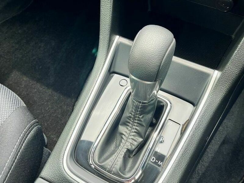 LEVORG-19