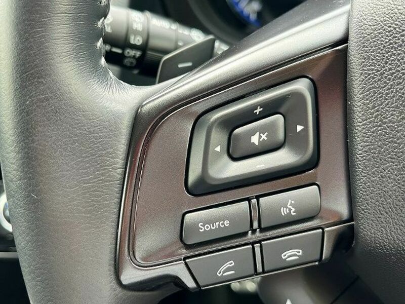 LEVORG-21