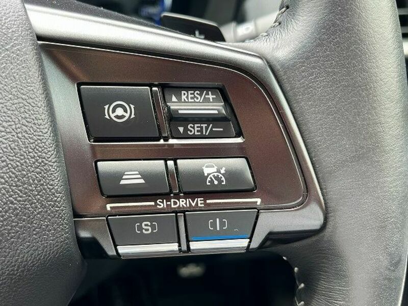 LEVORG-22
