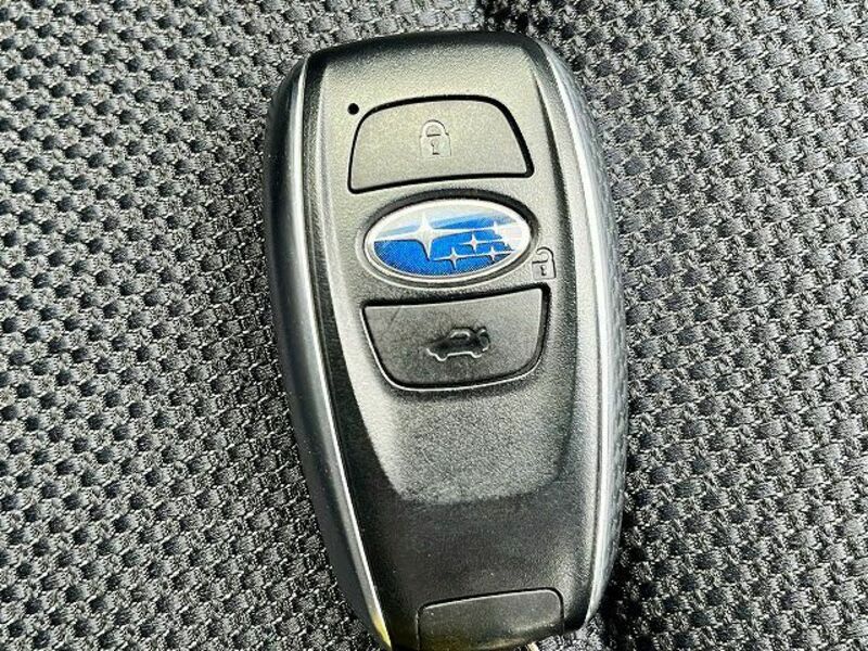 LEVORG-25