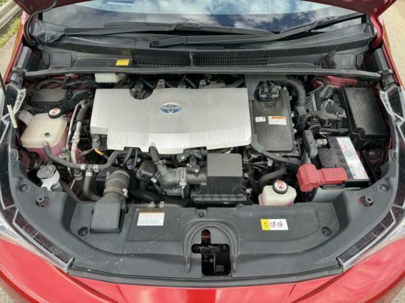 PRIUS-7