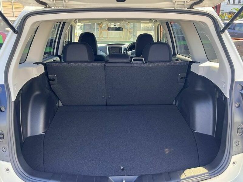 FORESTER-20