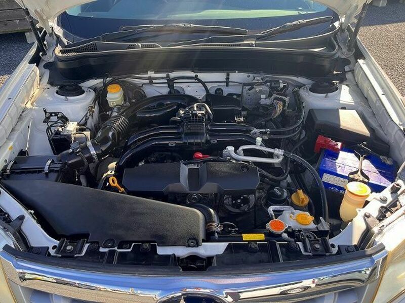 FORESTER-27