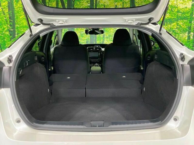 PRIUS-11