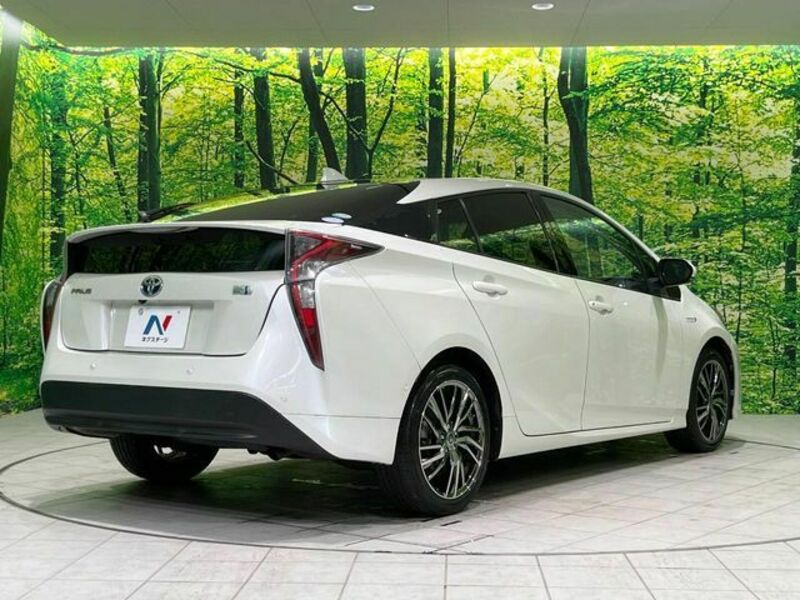 PRIUS-17