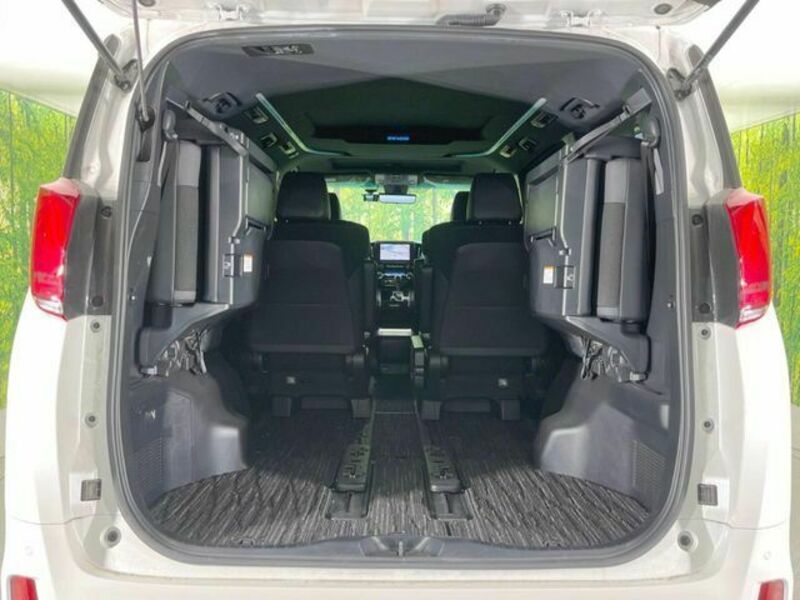 ALPHARD-10