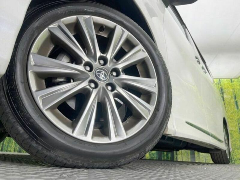 ALPHARD-13