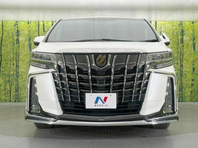 ALPHARD-14