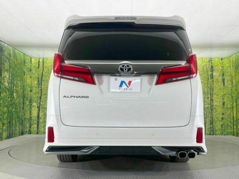 ALPHARD-15