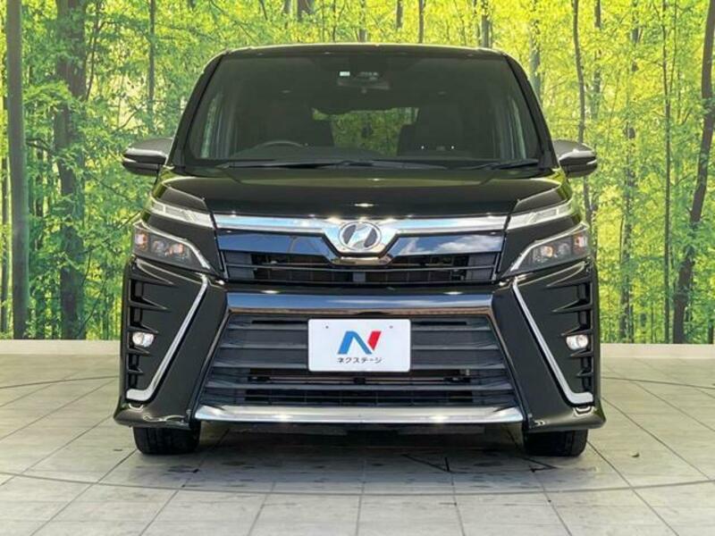 VOXY-10