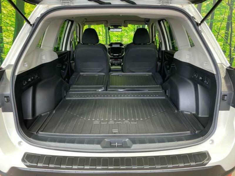 FORESTER-12