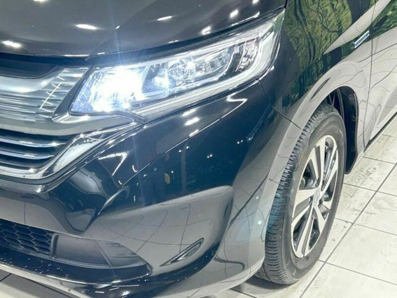 FREED HYBRID-12