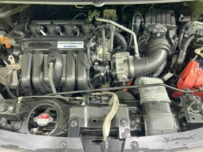 FREED HYBRID-17