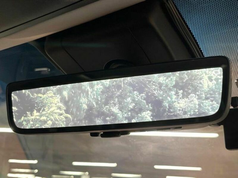 ALPHARD-10
