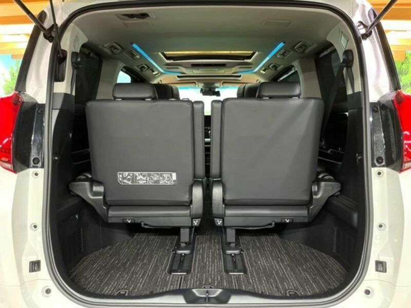 ALPHARD-14