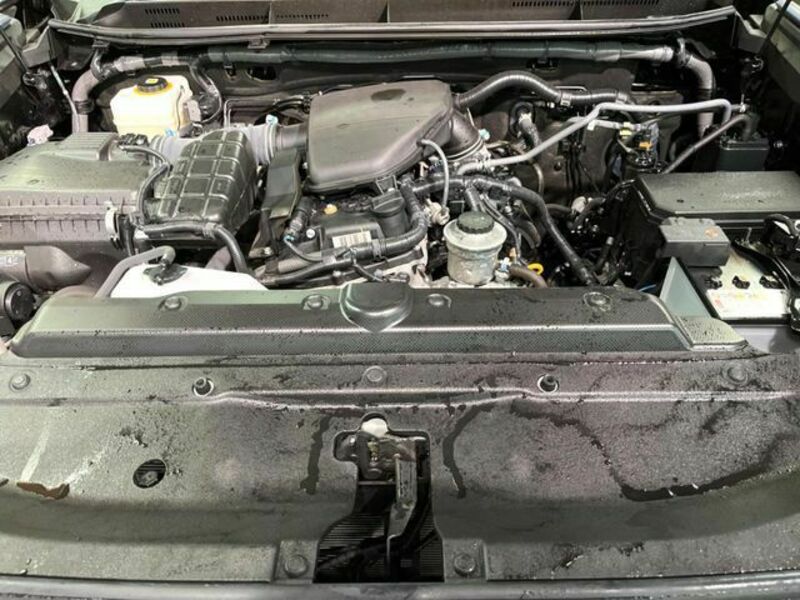 LAND CRUISER PRADO-19