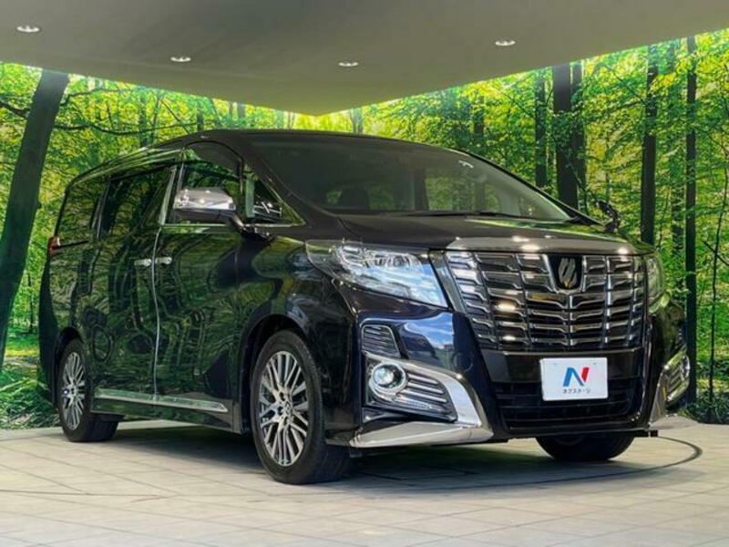 ALPHARD-16
