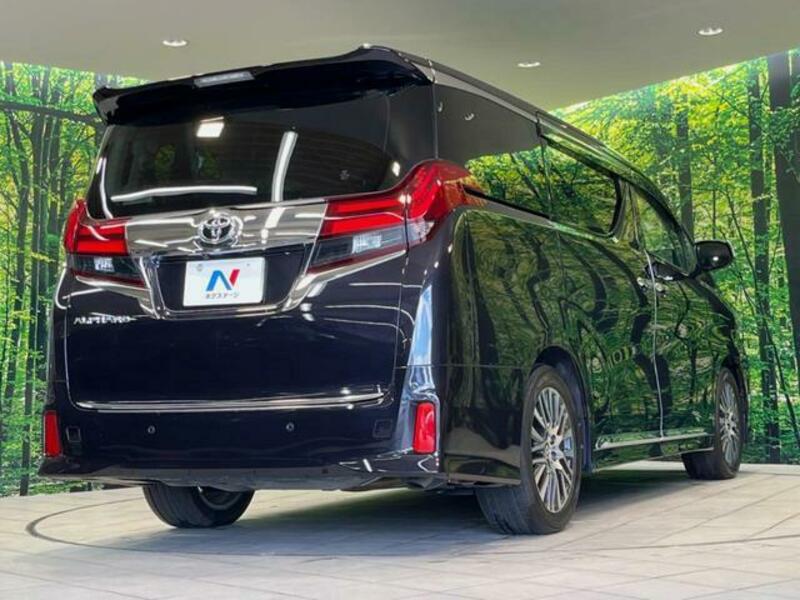 ALPHARD-17