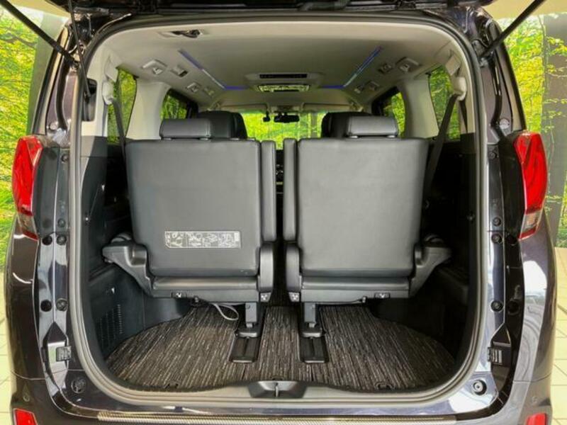 ALPHARD-10