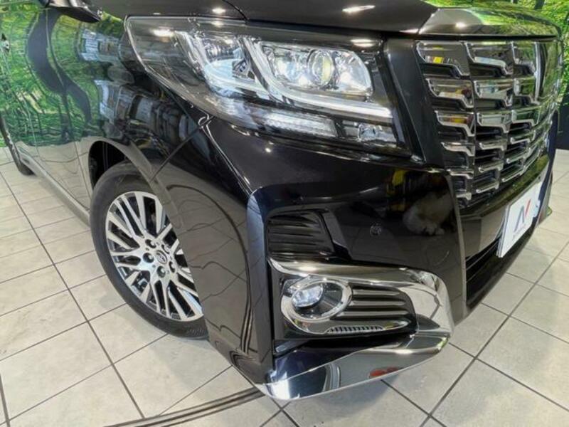 ALPHARD-12